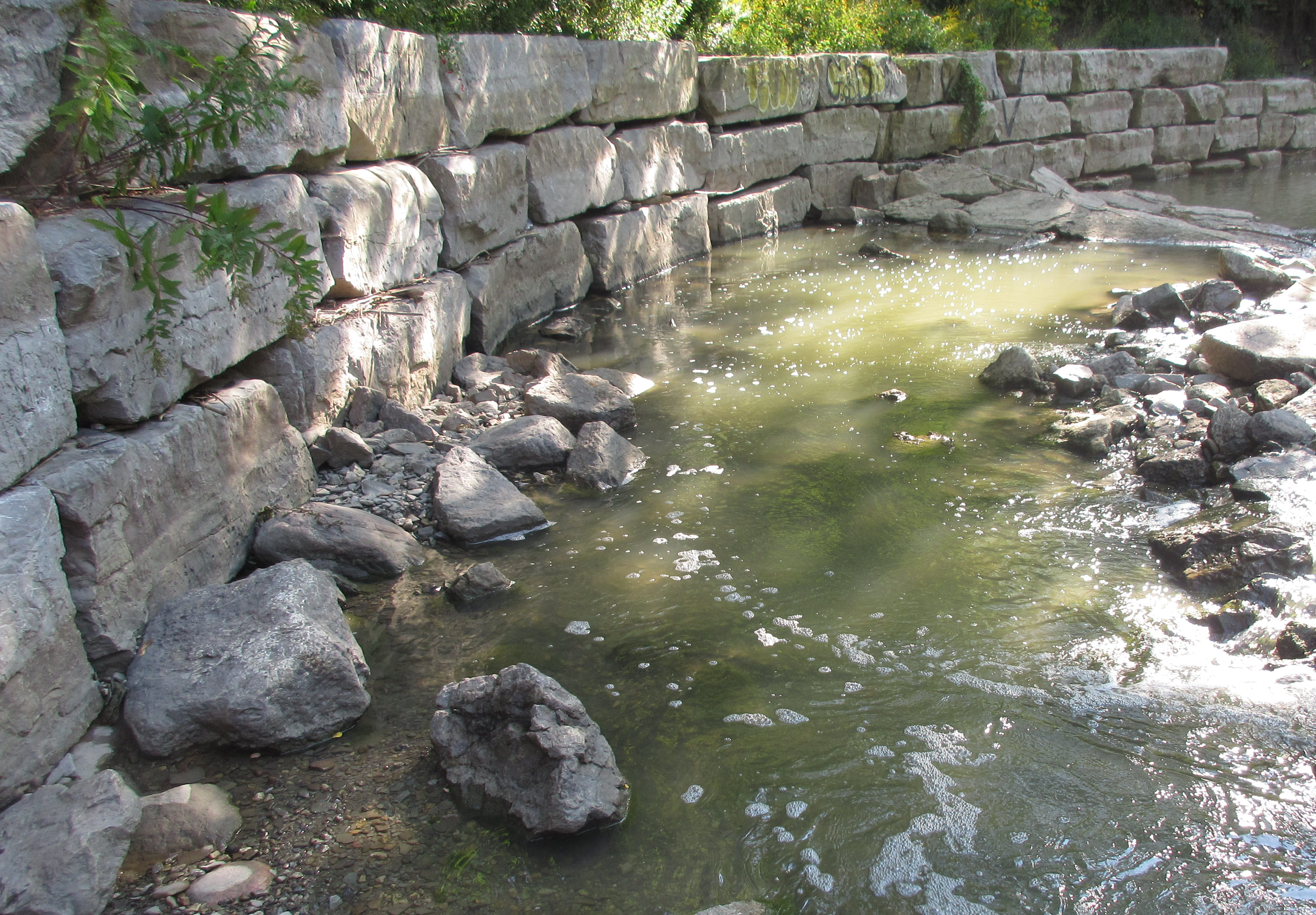 An armourstone wall on the edge of a creek bank